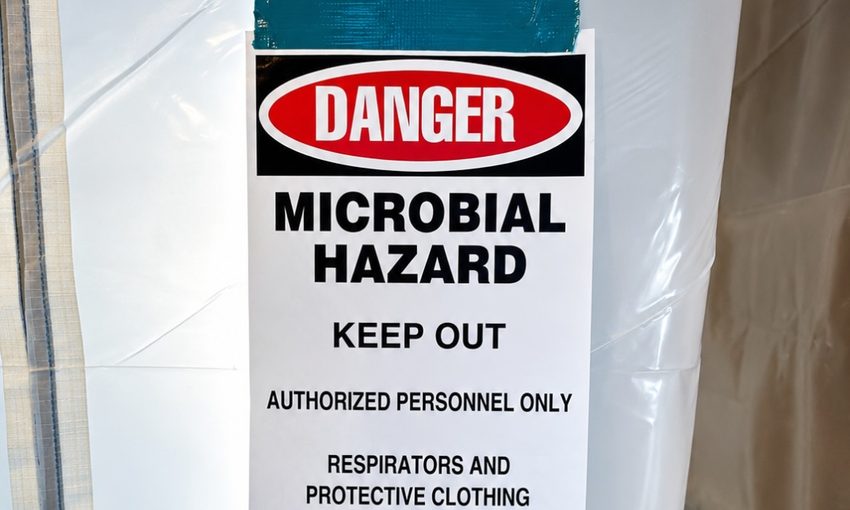9 Signs You Have Mold in Your Manitowoc Home