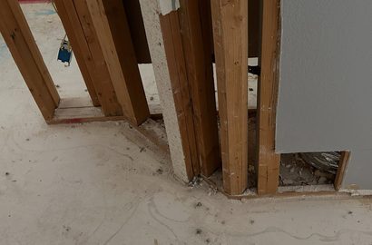The First 48 Hours After Water Damage
