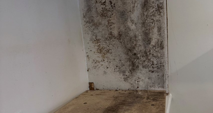Basement Mold Remediation in Manitowoc, WI — photo 2