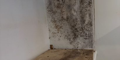 Basement Mold Remediation detail