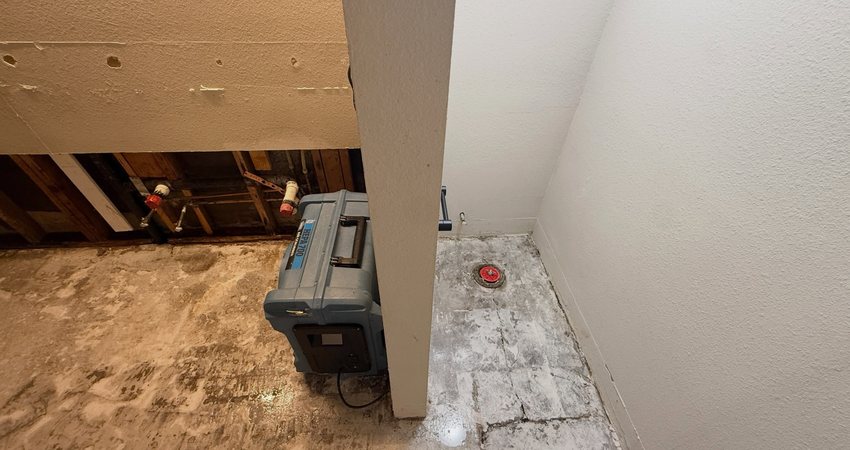 Whole-Home Mold Remediation in Manitowoc County, WI — photo 12