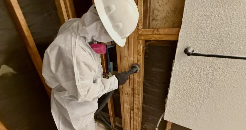 Whole-Home Mold Remediation in Manitowoc County, WI — photo 3