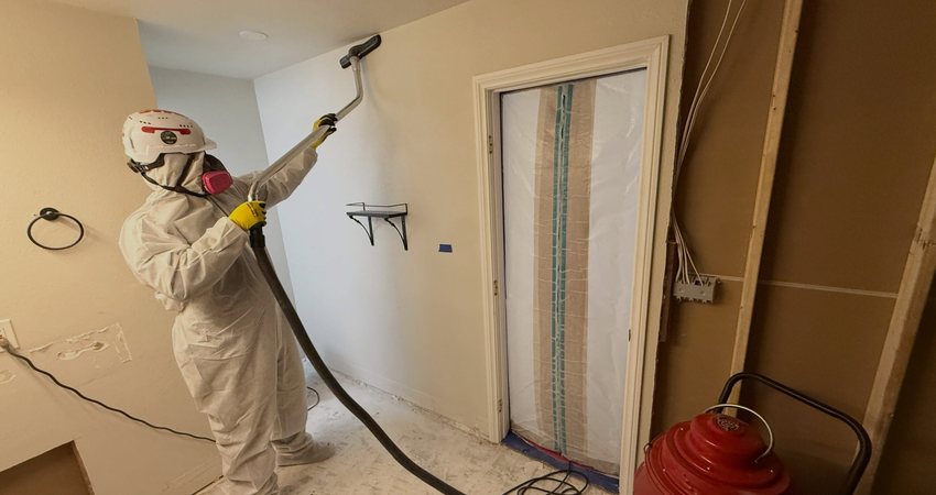 Whole-Home Mold Remediation in Manitowoc County, WI — photo 6