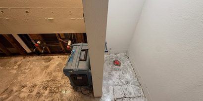 Whole-Home Mold Remediation detail