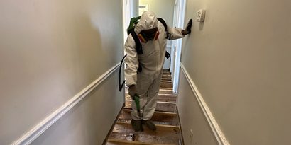 Crawl Space Mold Removal detail
