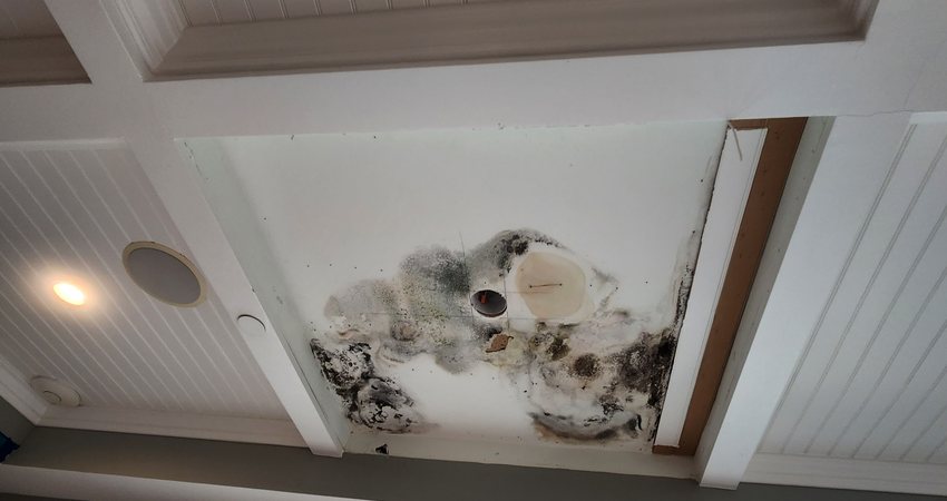 Water Damage & Mold Cleanup in Mishicot, WI — photo 3