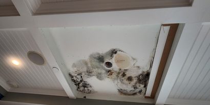 Water Damage & Mold Cleanup detail