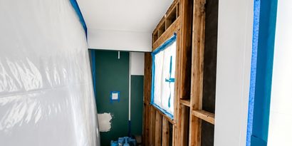 Attic Mold Treatment detail