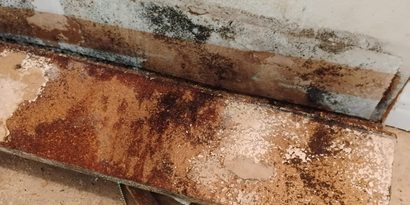 Post-Flood Restoration detail