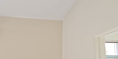 Bathroom Mold Remediation detail
