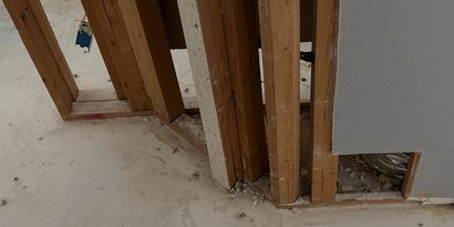 Rental Property Inspection detail