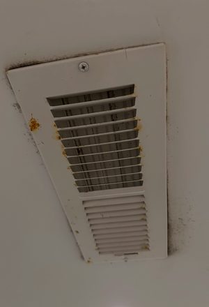 Basement Mold Remediation in Manitowoc, WI