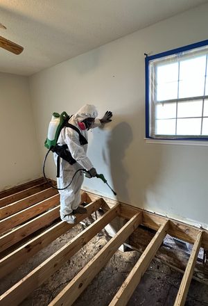Crawl Space Mold Removal in Two Rivers, WI