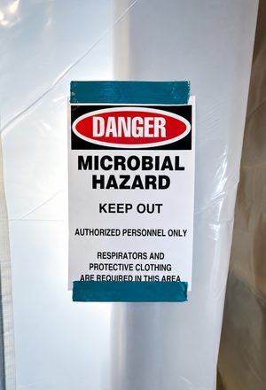 Attic Mold Treatment in Valders, WI