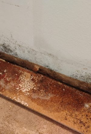 Post-Flood Restoration in Kiel, WI