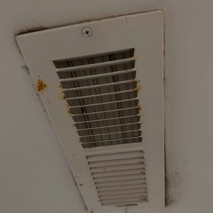Containment and HEPA air scrubbing during mold remediation