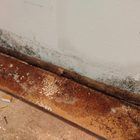 Mold remediation for crawl spaces
