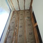 Mold remediation for schools